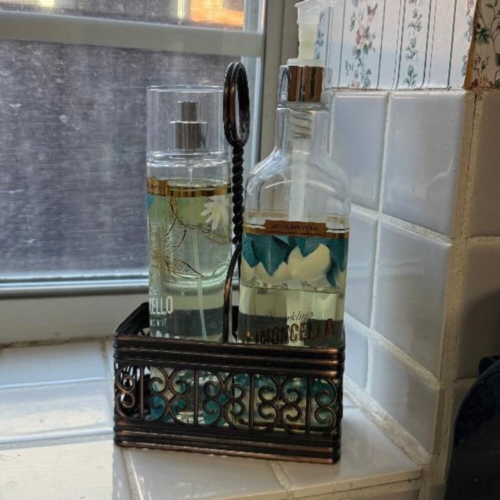 BBW Dual Soap/Lotion/Fragrance Holder or Caddy
